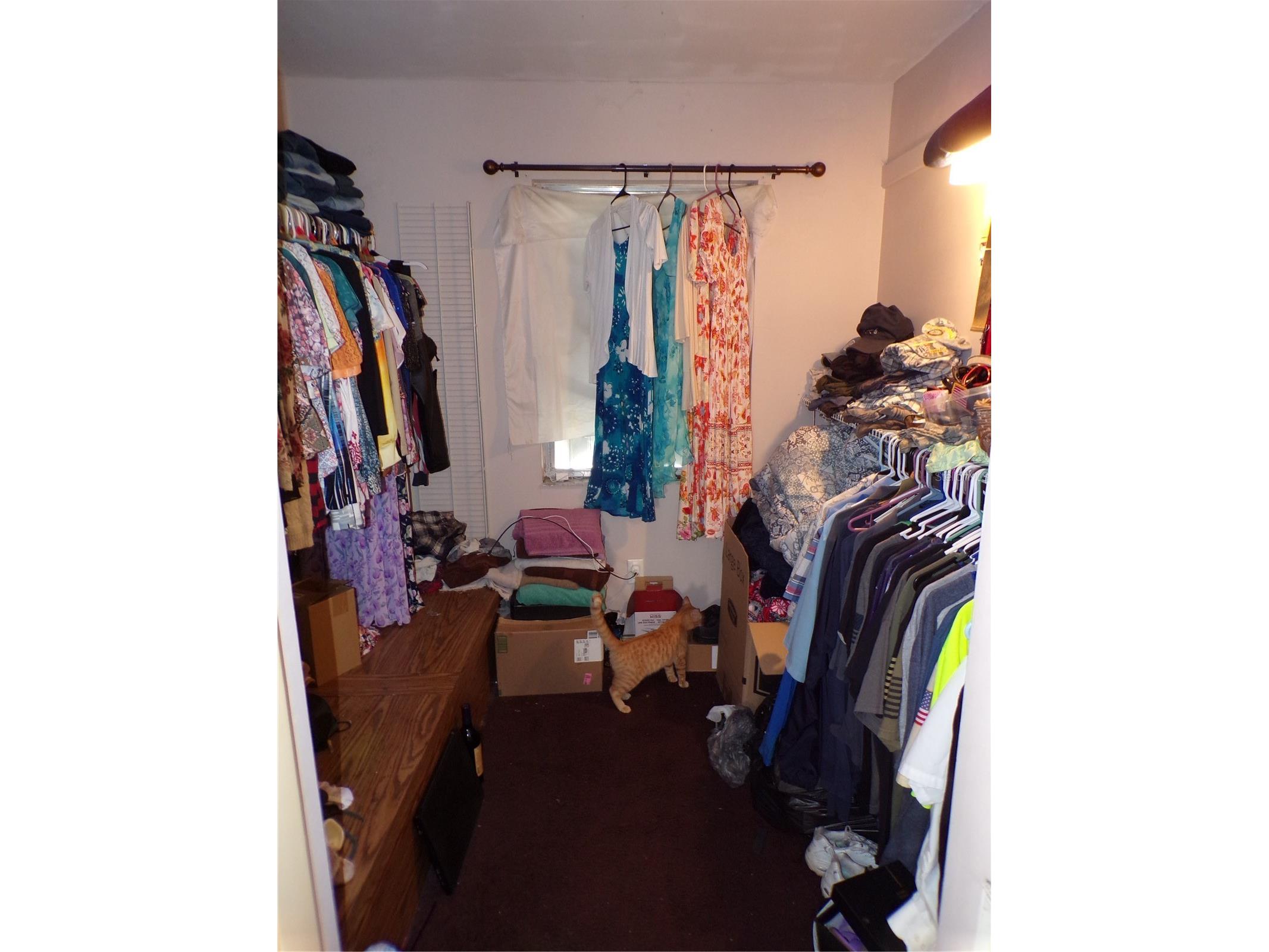 5606 87th Avenue N Pinellas Park FL 33782 TB8516218 image15