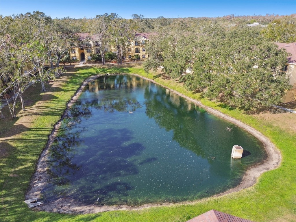 5606 Pinnacle Heights Circle #304 Tampa FL 33624 TB8333999 image58