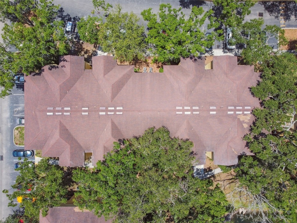 5606 Pinnacle Heights Circle #304 Tampa FL 33624 TB8333999 image62