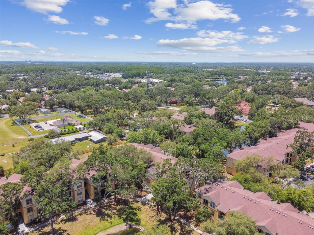 5606 Pinnacle Heights Circle #304 Tampa FL 33624 TB8333999 image64