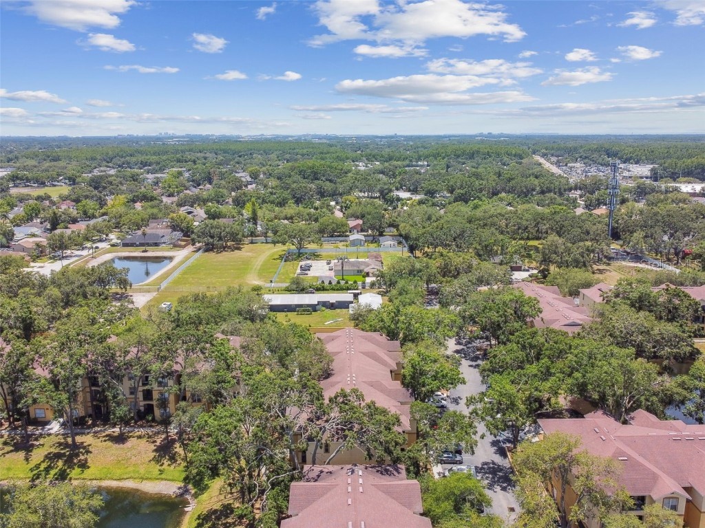 5606 Pinnacle Heights Circle #304 Tampa FL 33624 TB8333999 image65