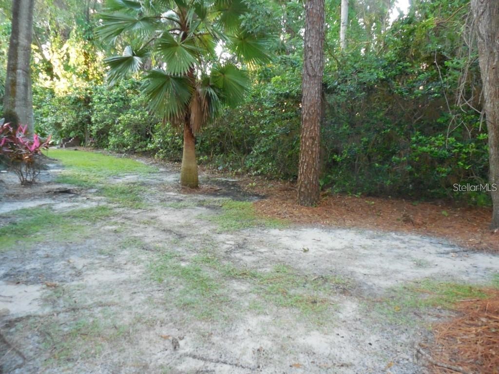 5607 67th Avenue N #314 Pinellas Park FL 33781 TB8469069 image17