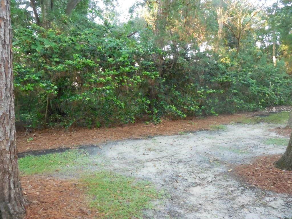 5607 67th Avenue N #314 Pinellas Park FL 33781 TB8469069 image18