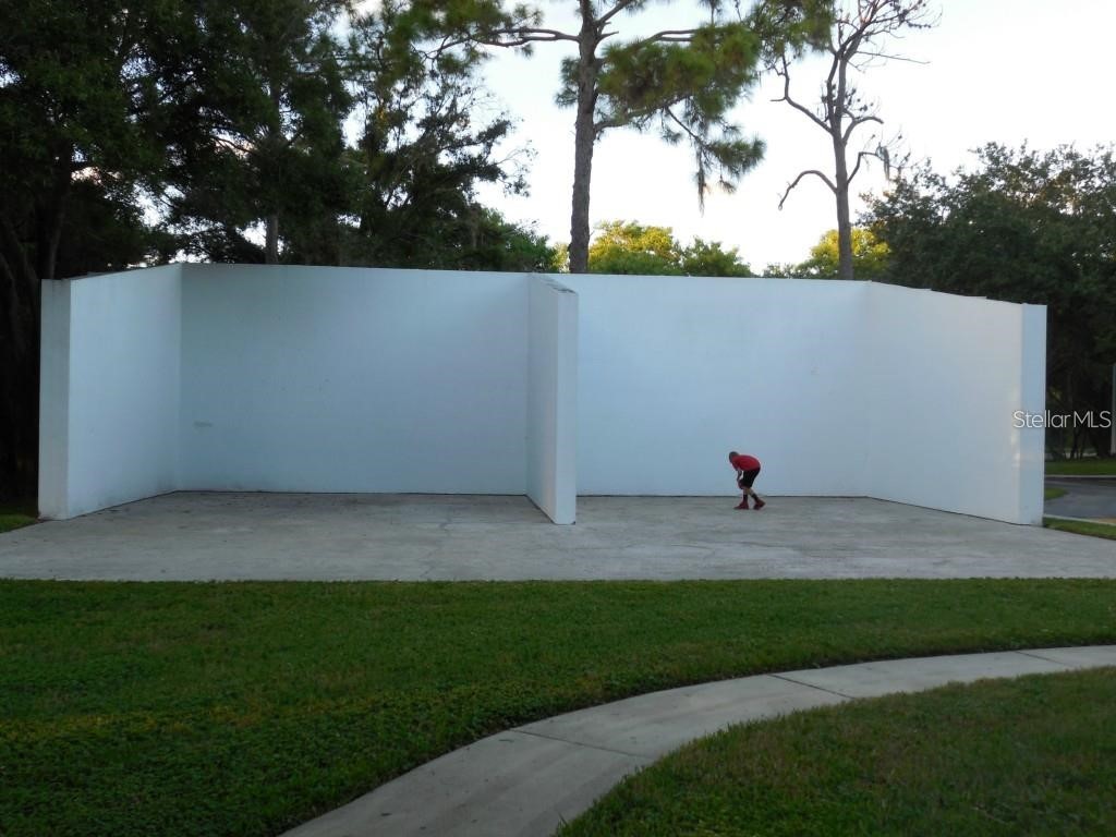 5607 67th Avenue N #314 Pinellas Park FL 33781 TB8469069 image22