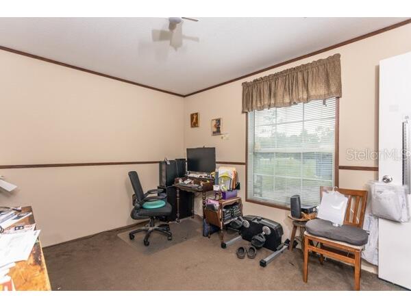 5607 Cherry Lane Bunnell FL 32110 FC312529 image14