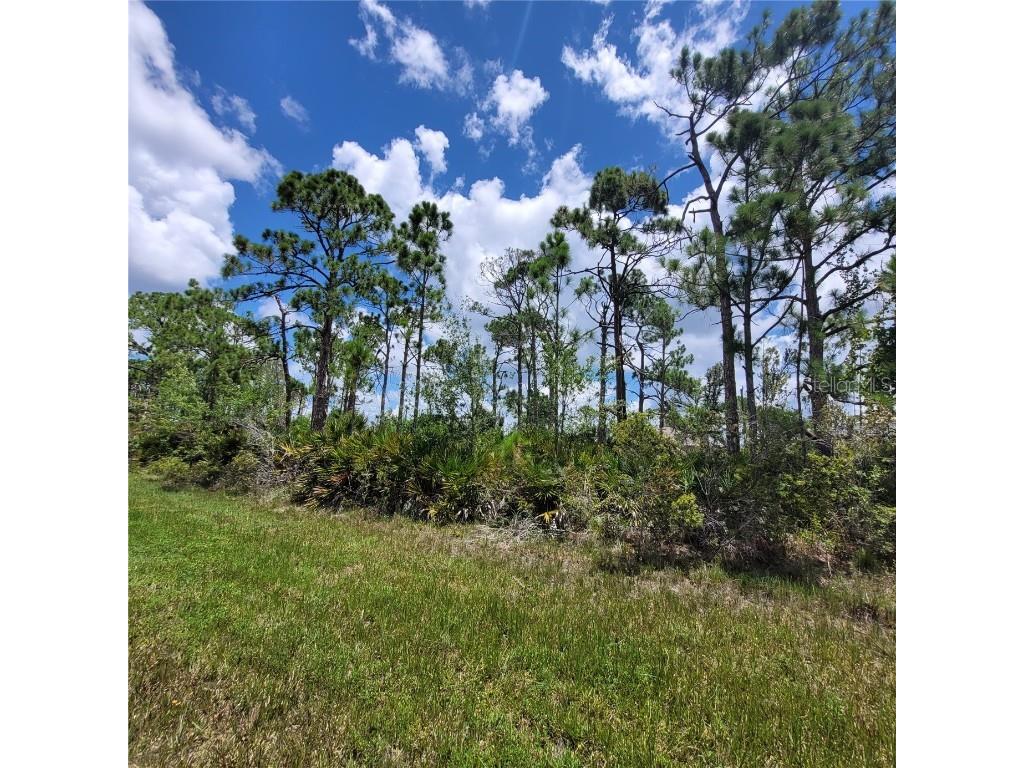 5607 David Boulevard Port Charlotte FL 33981 C7477780 image1