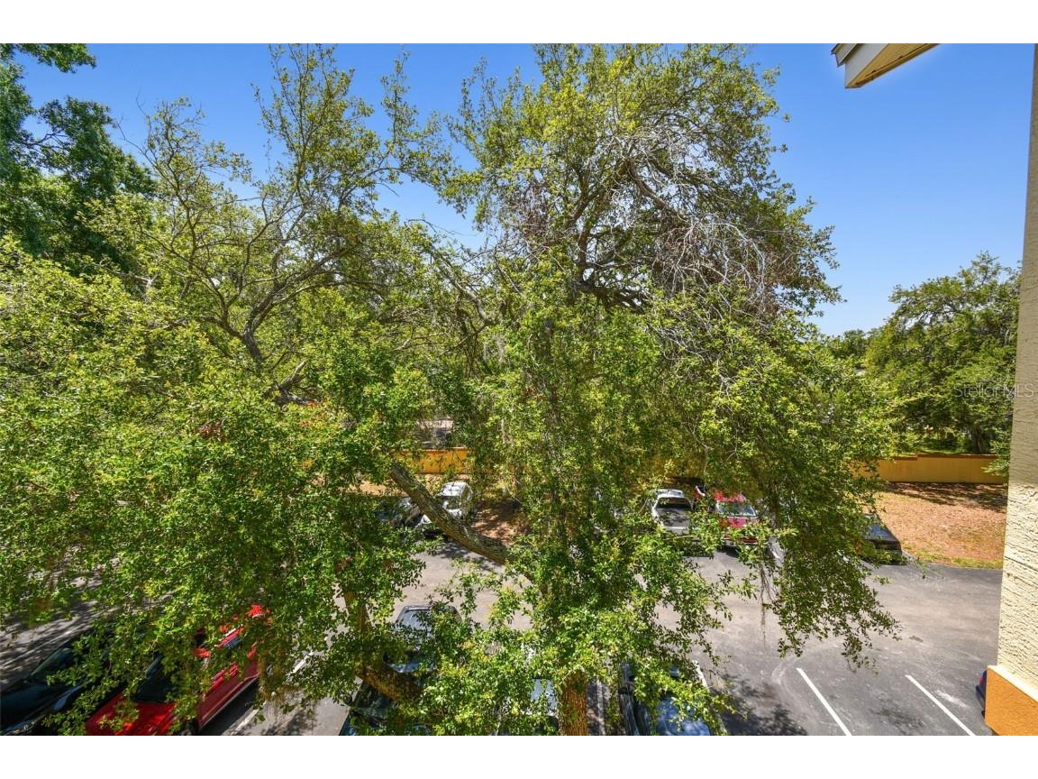 5608 Pinnacle Heights Circle #305 Tampa FL 33624 TB8307017 image58