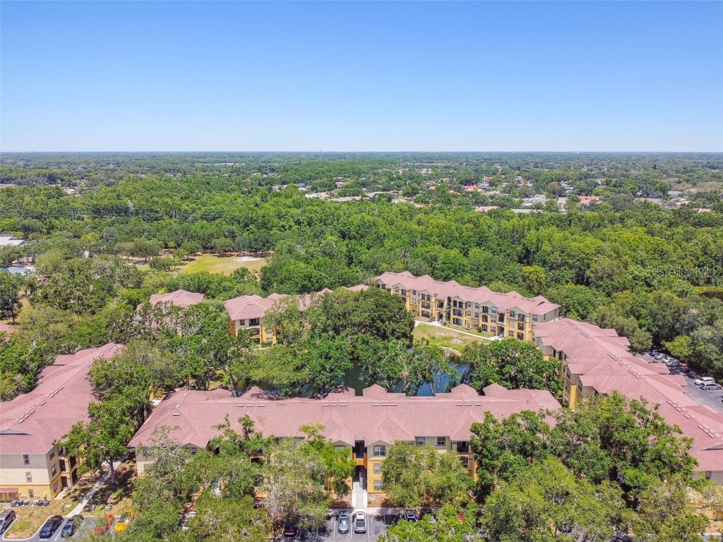 5608 Pinnacle Heights Circle #305 Tampa FL 33624 TB8307017 image62