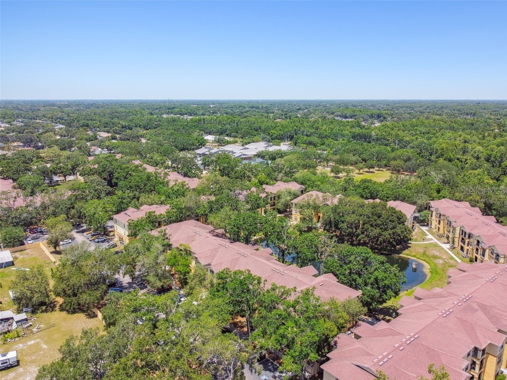 5608 Pinnacle Heights Circle #305 Tampa FL 33624 TB8307017 image63