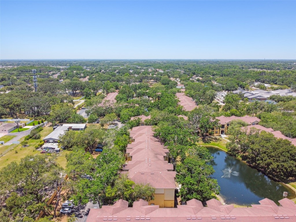 5608 Pinnacle Heights Circle #305 Tampa FL 33624 TB8307017 image64