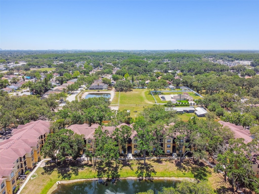 5608 Pinnacle Heights Circle #305 Tampa FL 33624 TB8307017 image65