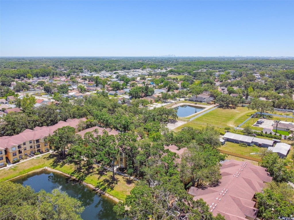 5608 Pinnacle Heights Circle #305 Tampa FL 33624 TB8307017 image66