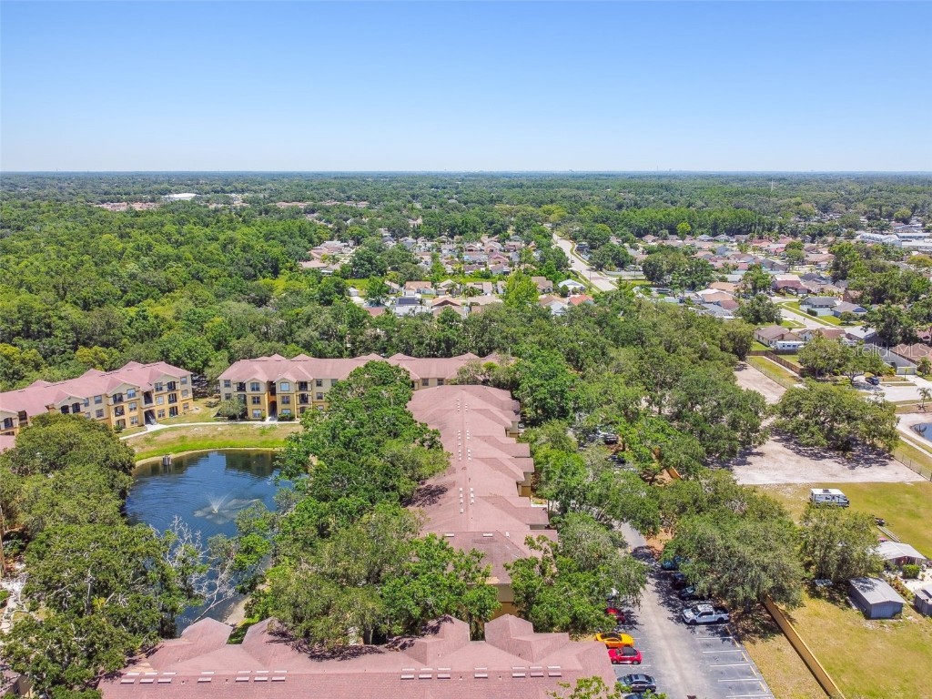 5608 Pinnacle Heights Circle #305 Tampa FL 33624 TB8307017 image67