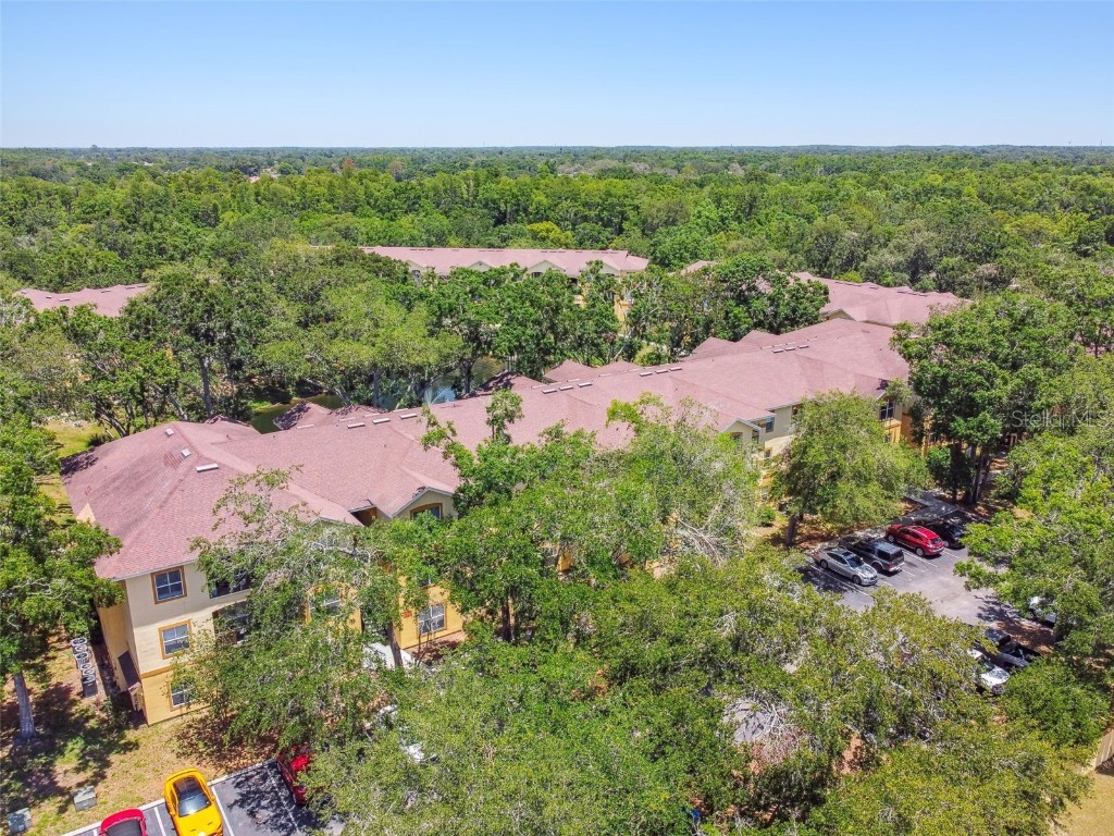 5608 Pinnacle Heights Circle #305 Tampa FL 33624 TB8307017 image68