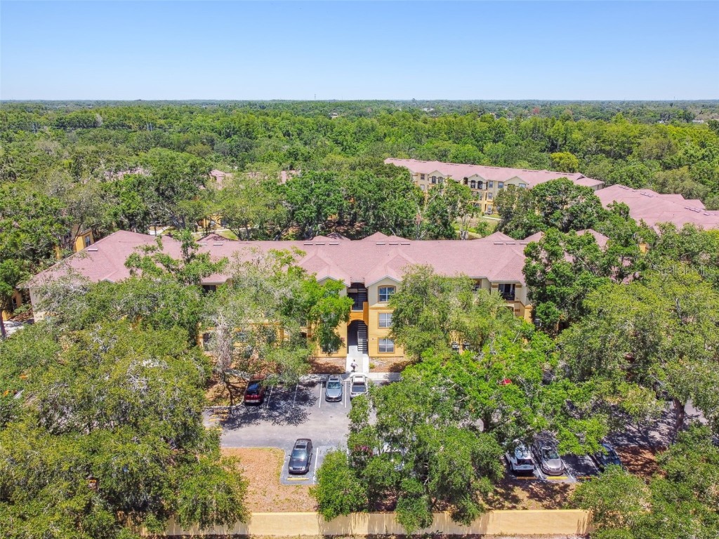 5608 Pinnacle Heights Circle #305 Tampa FL 33624 TB8307017 image69