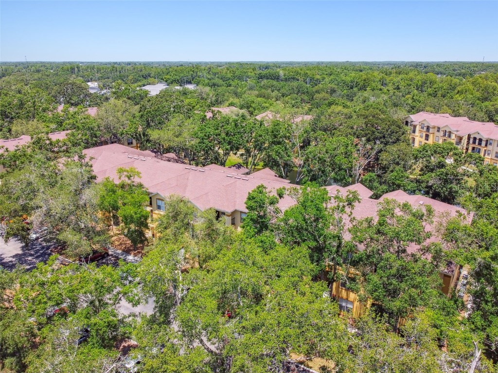 5608 Pinnacle Heights Circle #305 Tampa FL 33624 TB8307017 image70