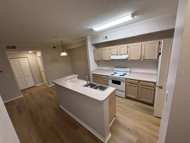 5608 Pinnacle Heights Circle #307 Tampa FL 33624 TB8514386 image3