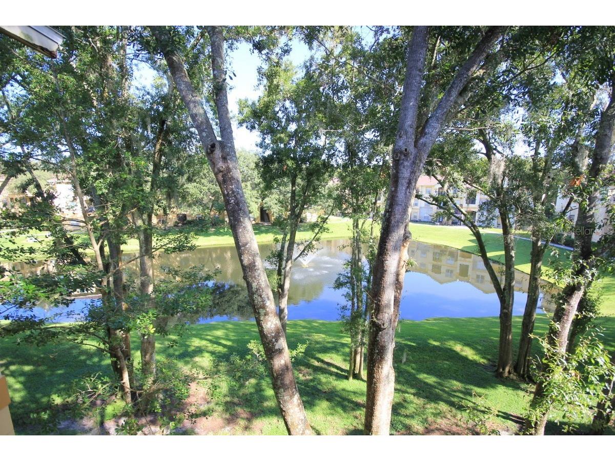 5608 Pinnacle Heights Circle #307 Tampa FL 33624 TB8514386 image7