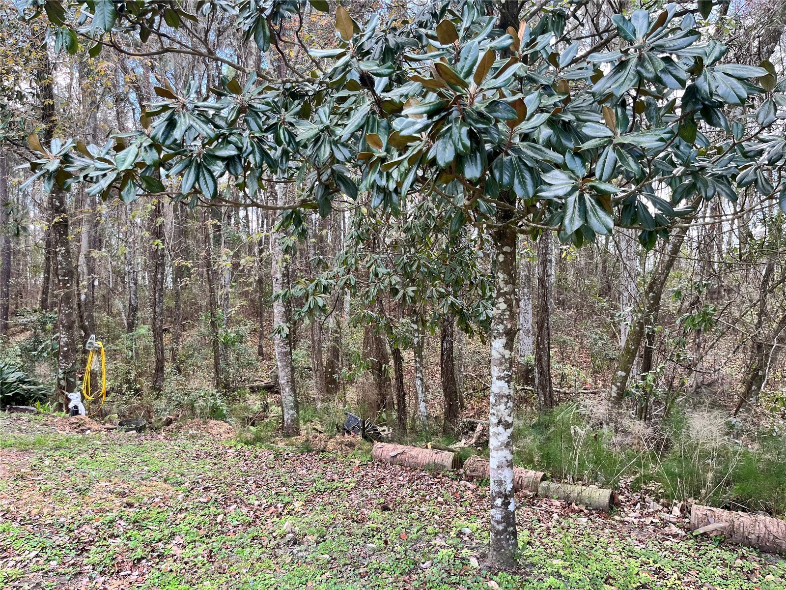 5608 W County Road 240 Lake Butler FL 32054 GC538267 image12