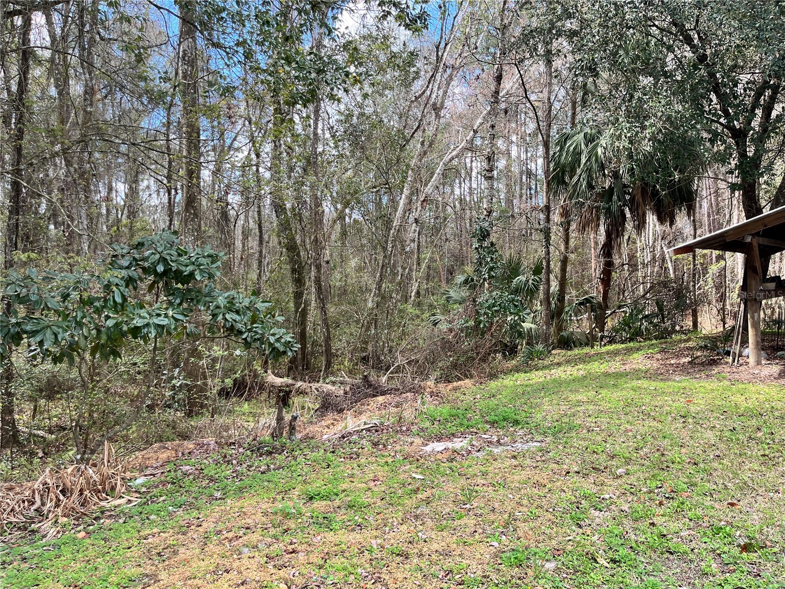 5608 W County Road 240 Lake Butler FL 32054 GC538267 image13