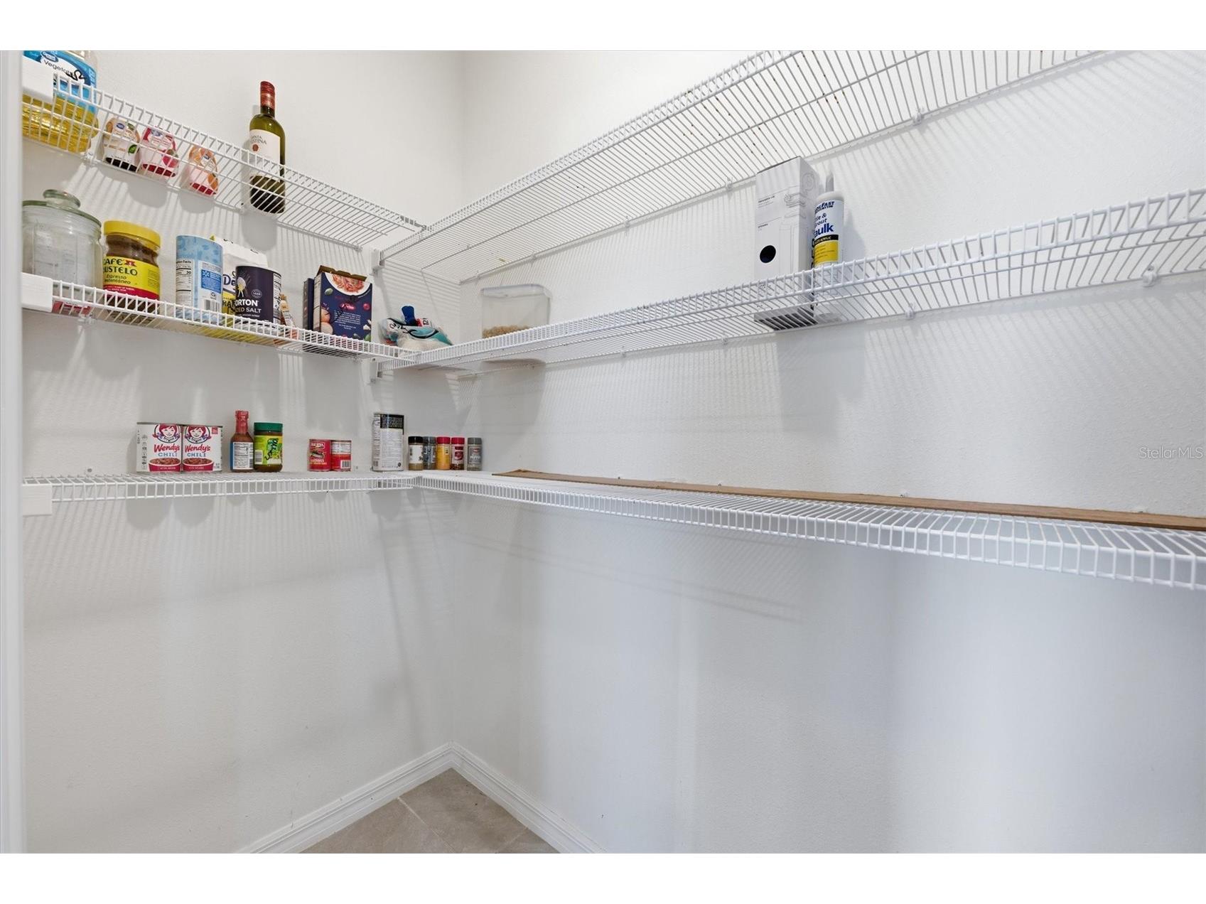 5608 Wandering Willow Drive Wesley Chapel FL 33545 TB8480182 image12