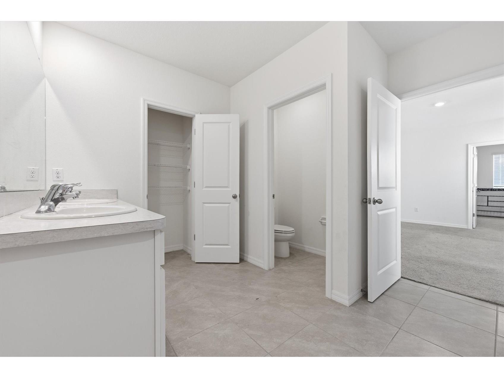 5608 Wandering Willow Drive Wesley Chapel FL 33545 TB8480182 image19