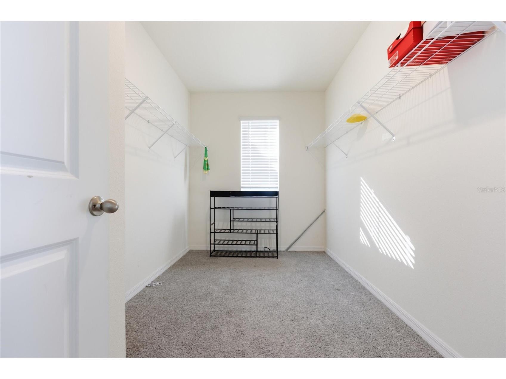 5608 Wandering Willow Drive Wesley Chapel FL 33545 TB8480182 image21