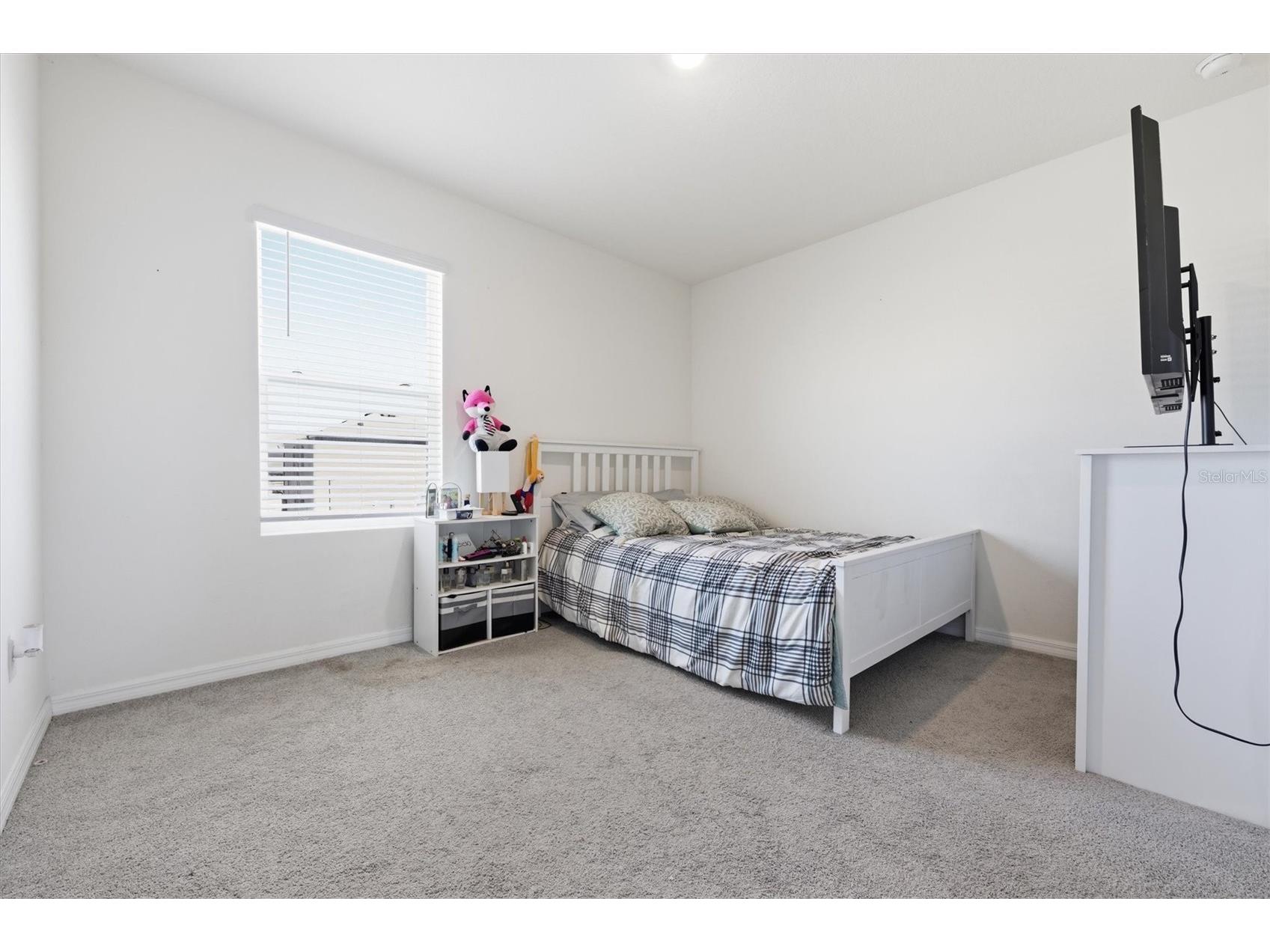 5608 Wandering Willow Drive Wesley Chapel FL 33545 TB8480182 image23