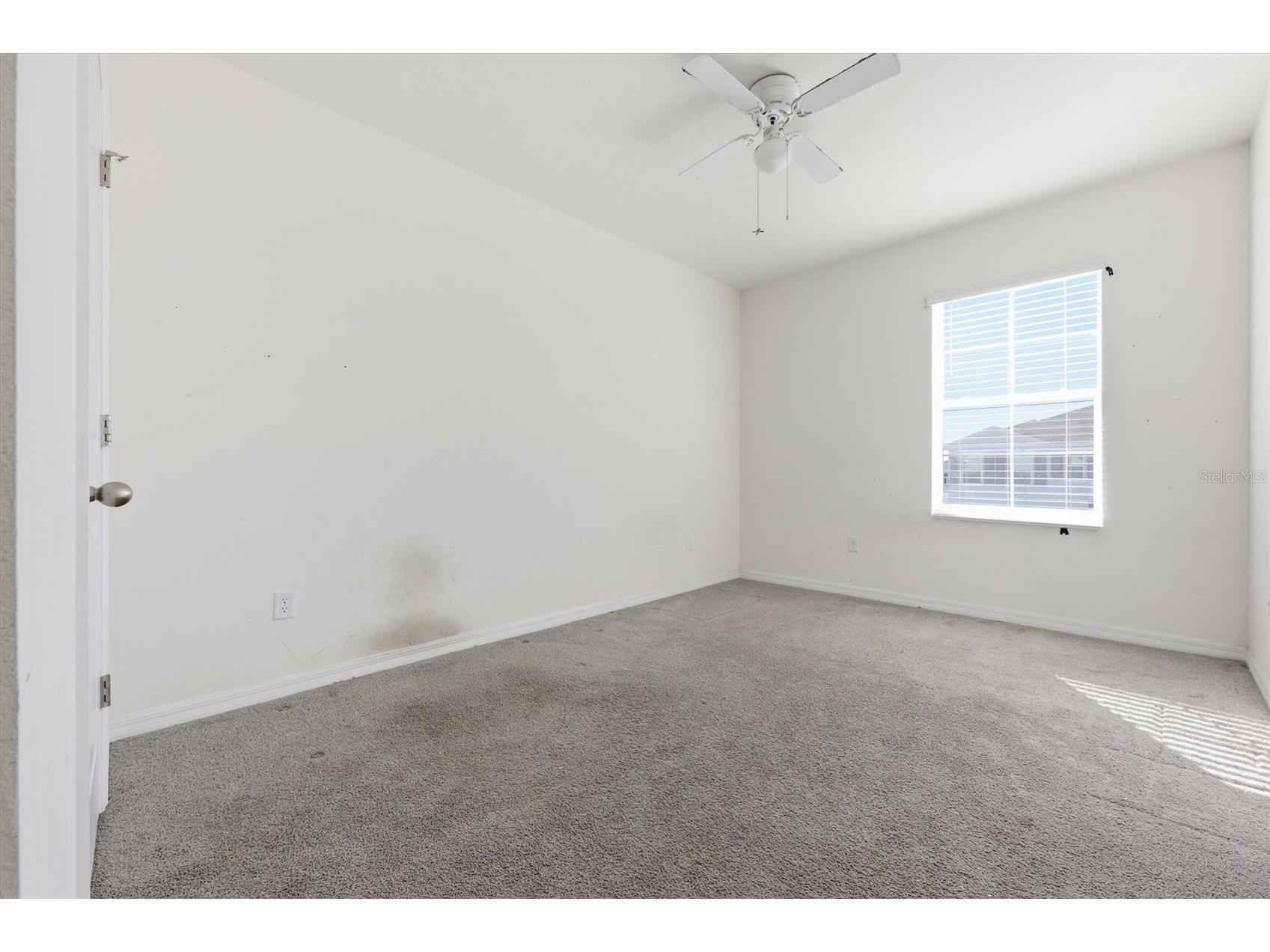 5608 Wandering Willow Drive Wesley Chapel FL 33545 TB8480182 image24