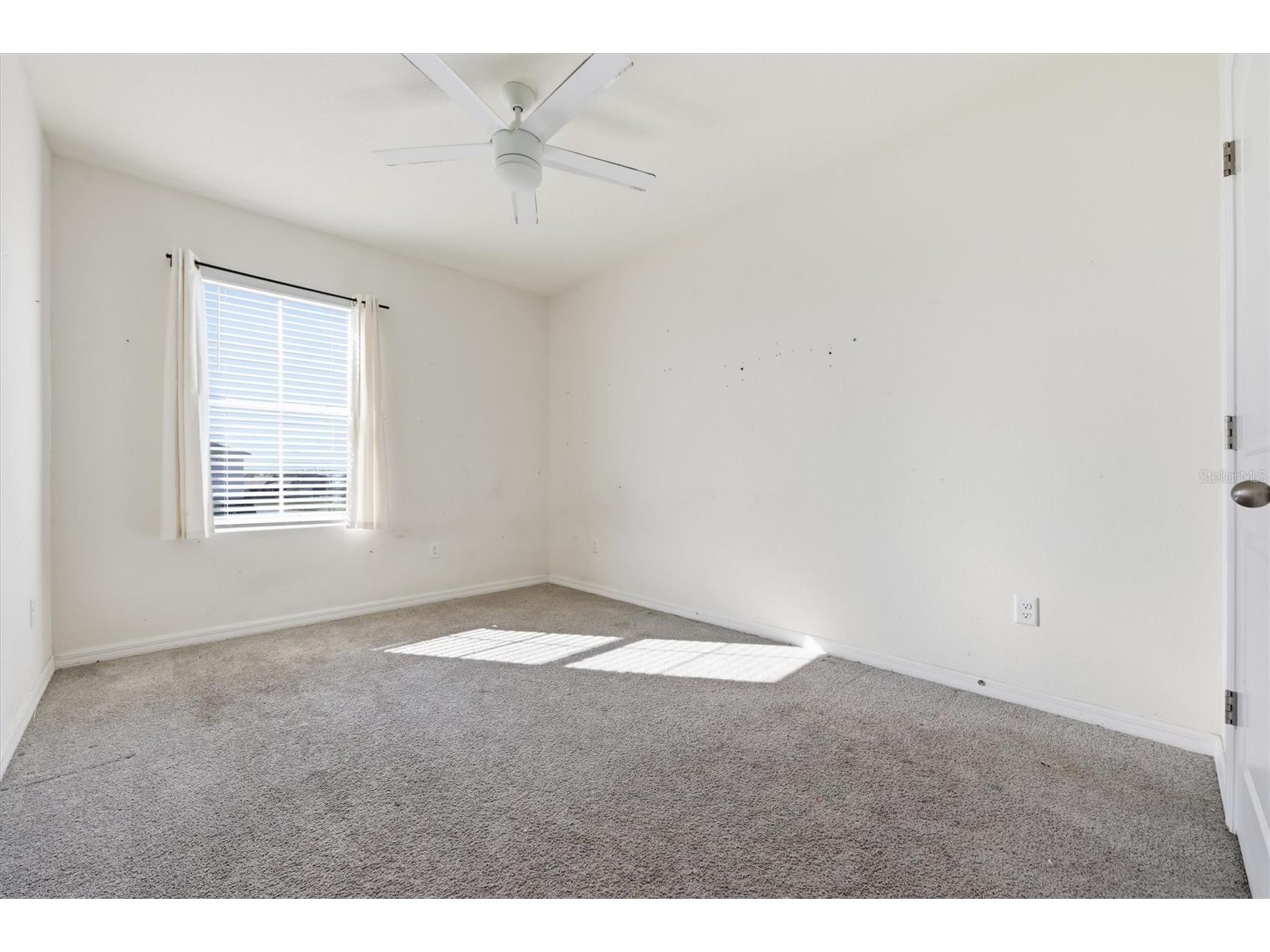 5608 Wandering Willow Drive Wesley Chapel FL 33545 TB8480182 image26