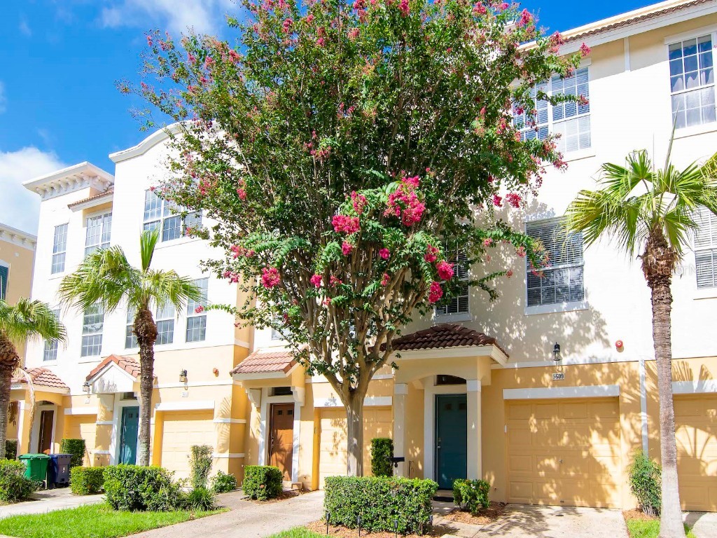 5609 Gaspar Oaks Drive Tampa FL 33611 T3470311 image1