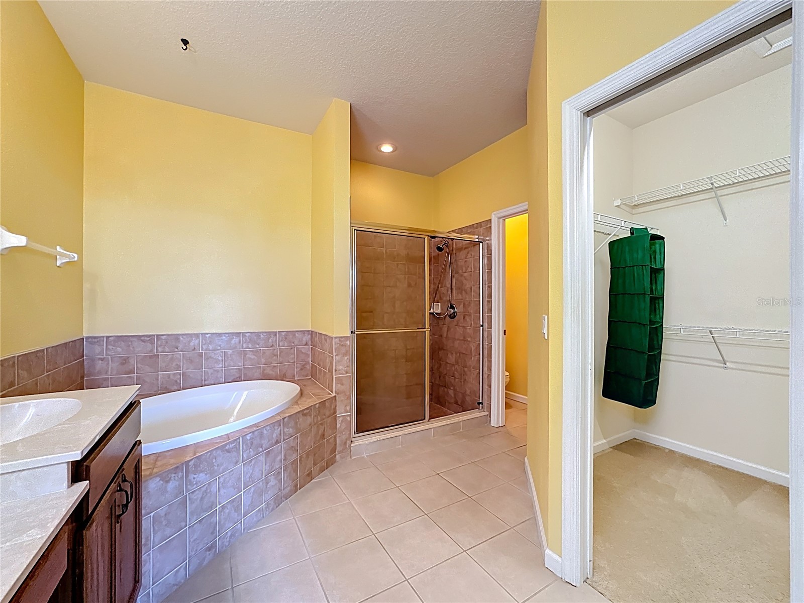 5609 Spanish Point Court Palmetto FL 34221 A4683317 image20