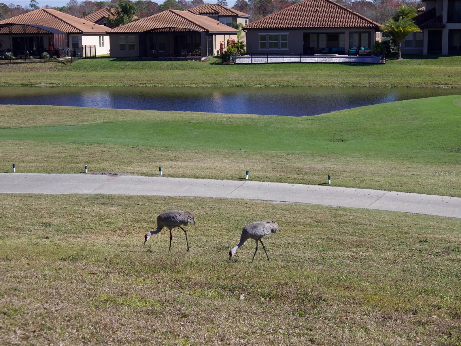 561 Harriswood Court Davenport FL 33837 O6419107 image53