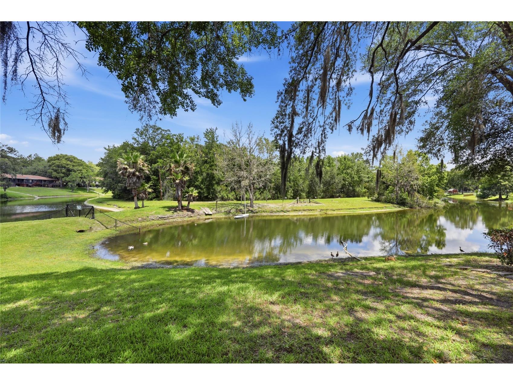 561 SE 28th Street Melrose FL 32666 GC541182 image52