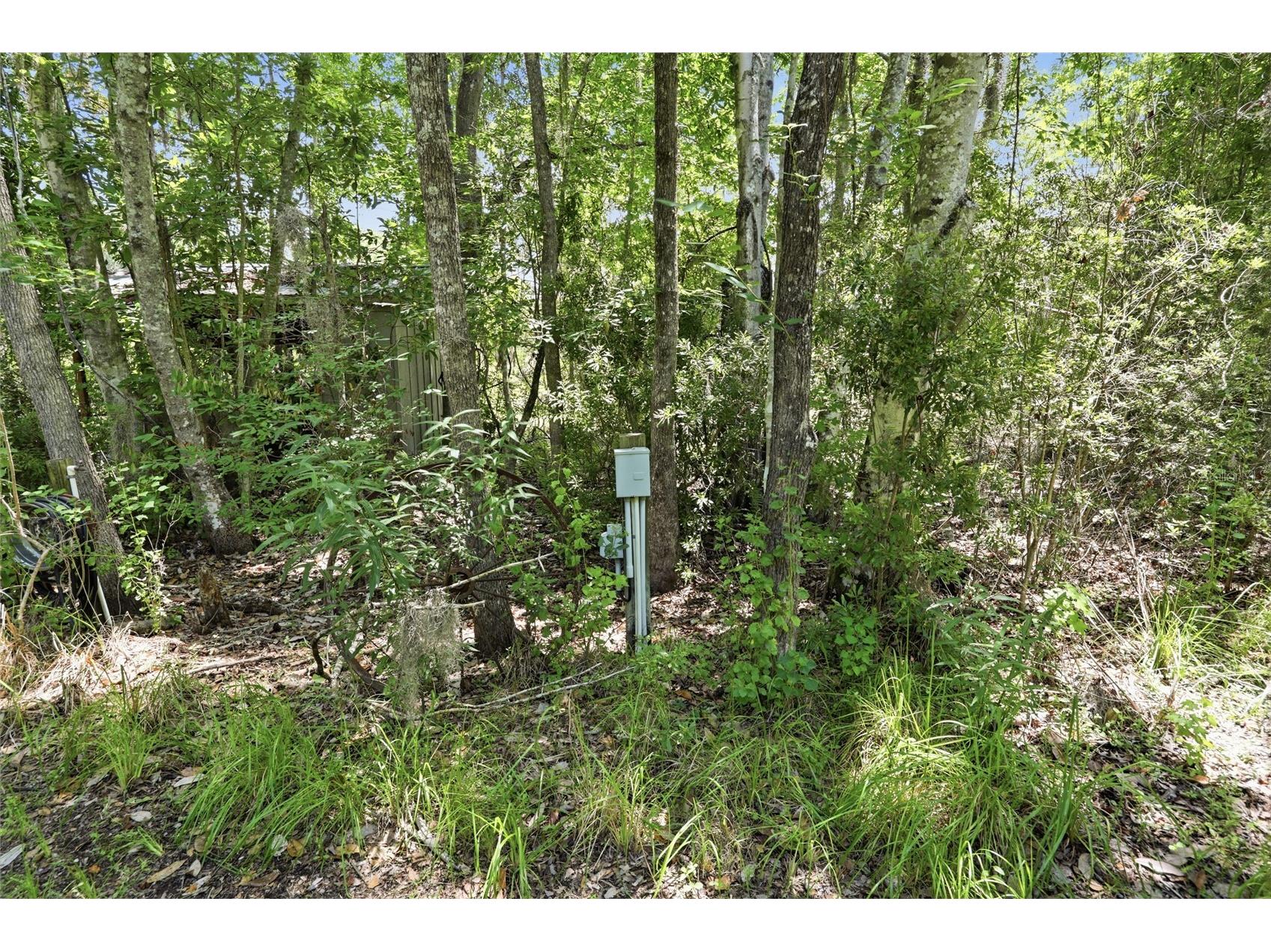 561 SE 28th Street Melrose FL 32666 GC541182 image63