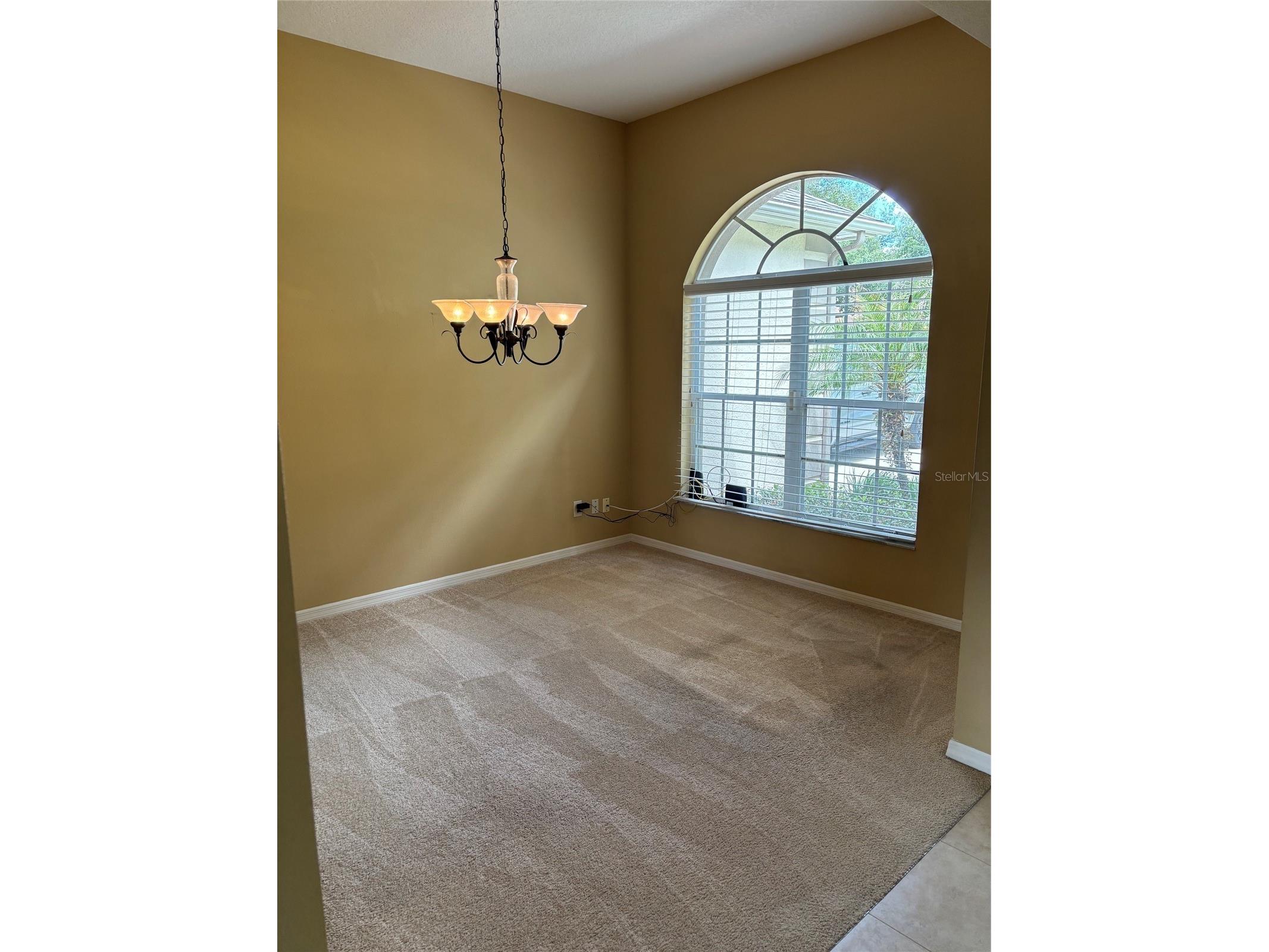 561 Strathclyde Court Apopka FL 32712 O6414246 image4