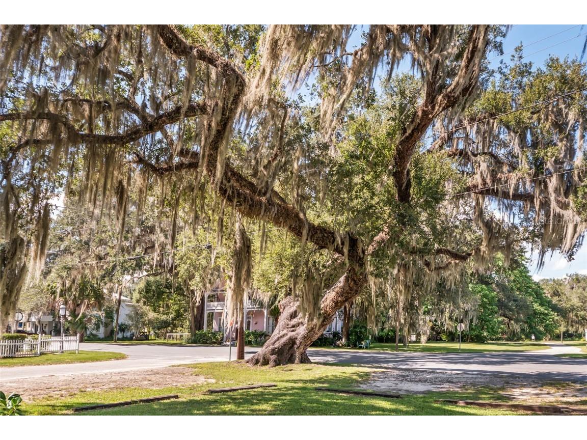 5610 Avenue G Mc Intosh FL 32664 GC534202 image27