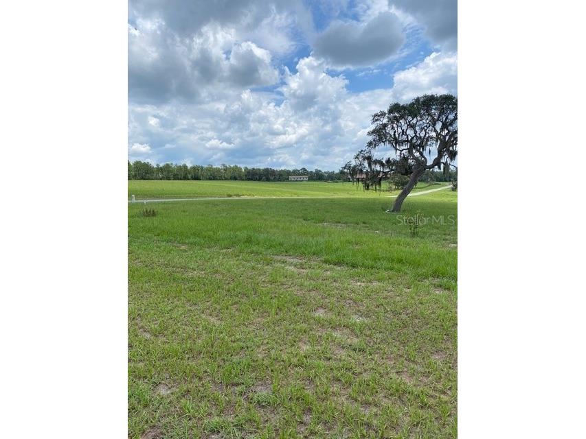 5610 East Orion Ct Floral City FL 34436 TB8514600 image11