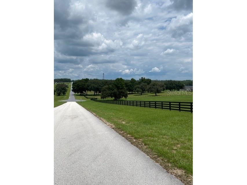5610 East Orion Ct Floral City FL 34436 TB8514600 image4