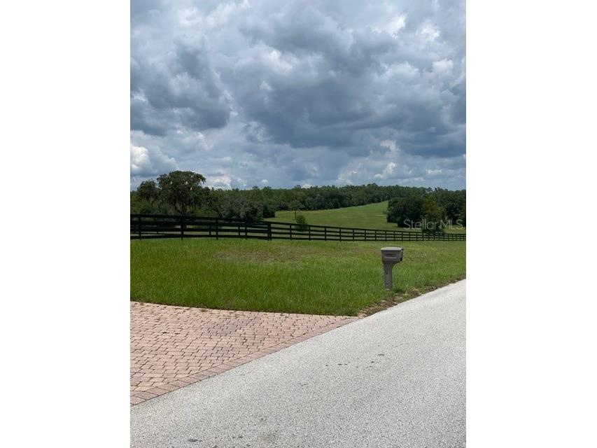 5610 East Orion Ct Floral City FL 34436 TB8514600 image5