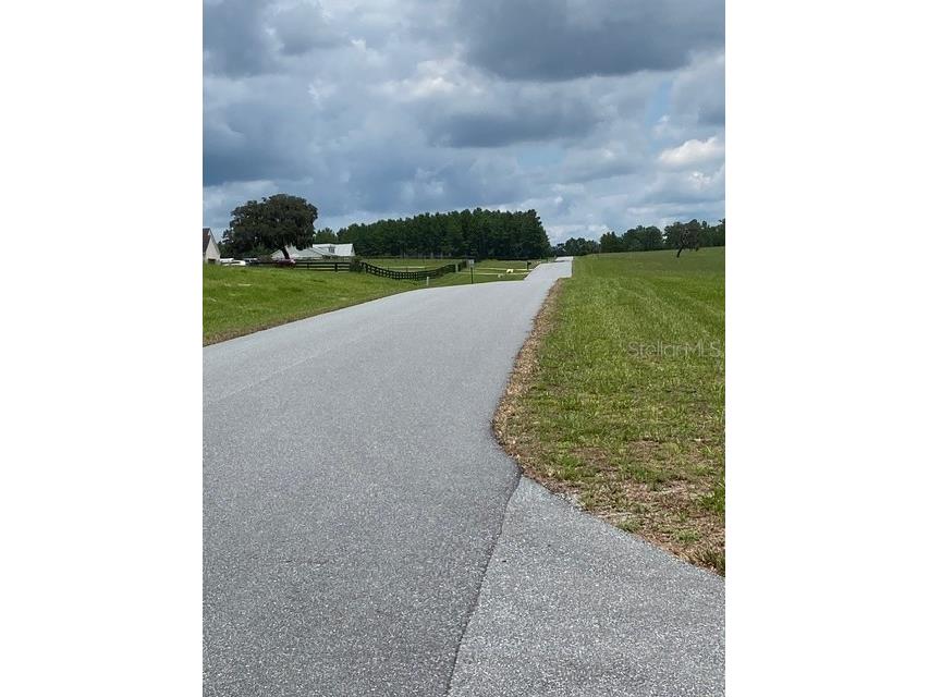 5610 East Orion Ct Floral City FL 34436 TB8514600 image7