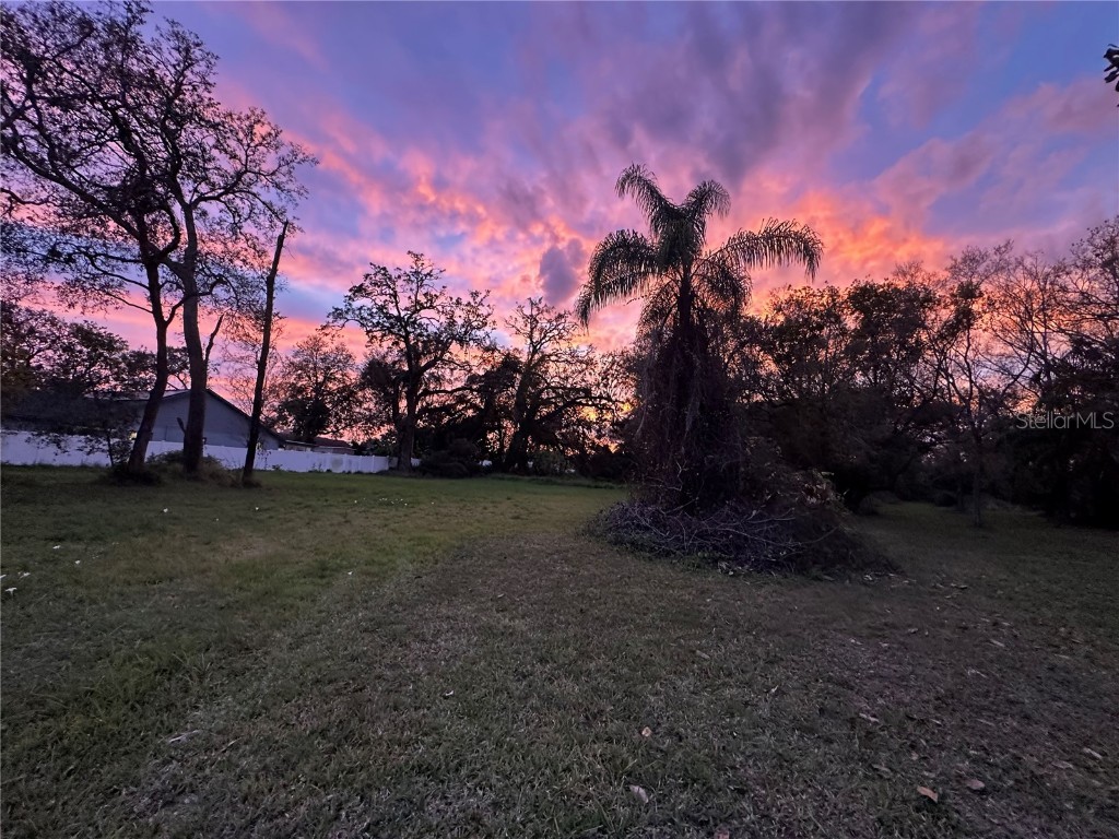 5610 N Habana Avenue Tampa FL 33614 TB8353861 image10