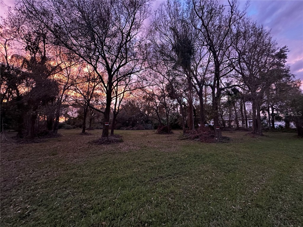 5610 N Habana Avenue Tampa FL 33614 TB8353861 image8