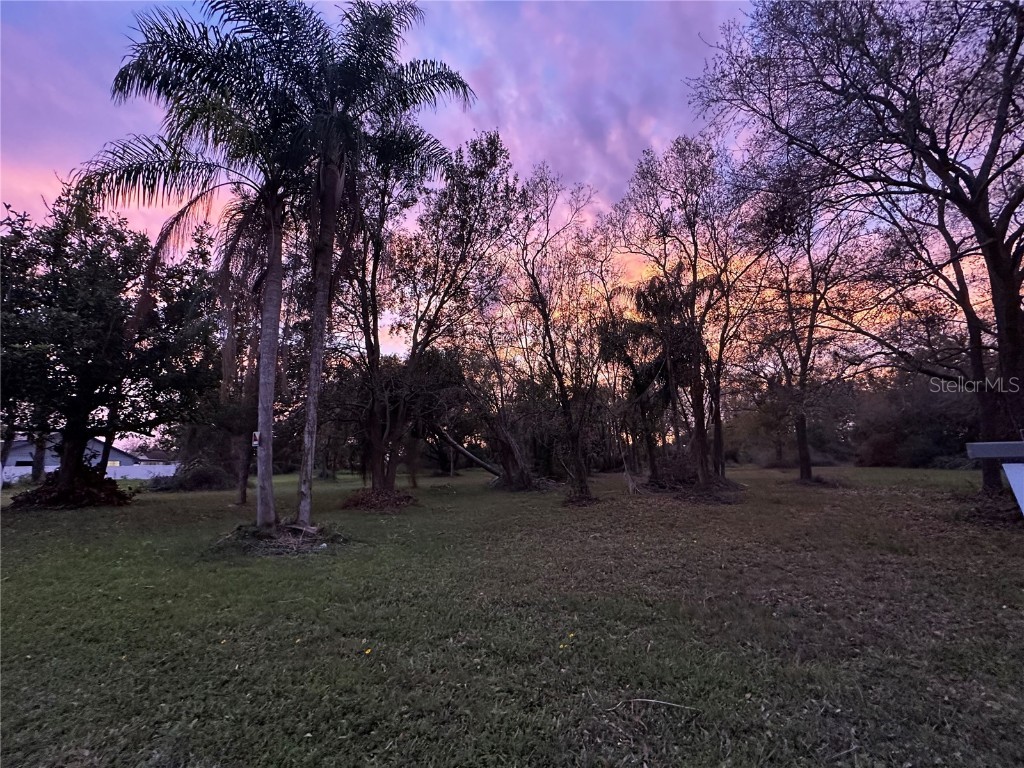 5610 N Habana Avenue Tampa FL 33614 TB8353861 image9