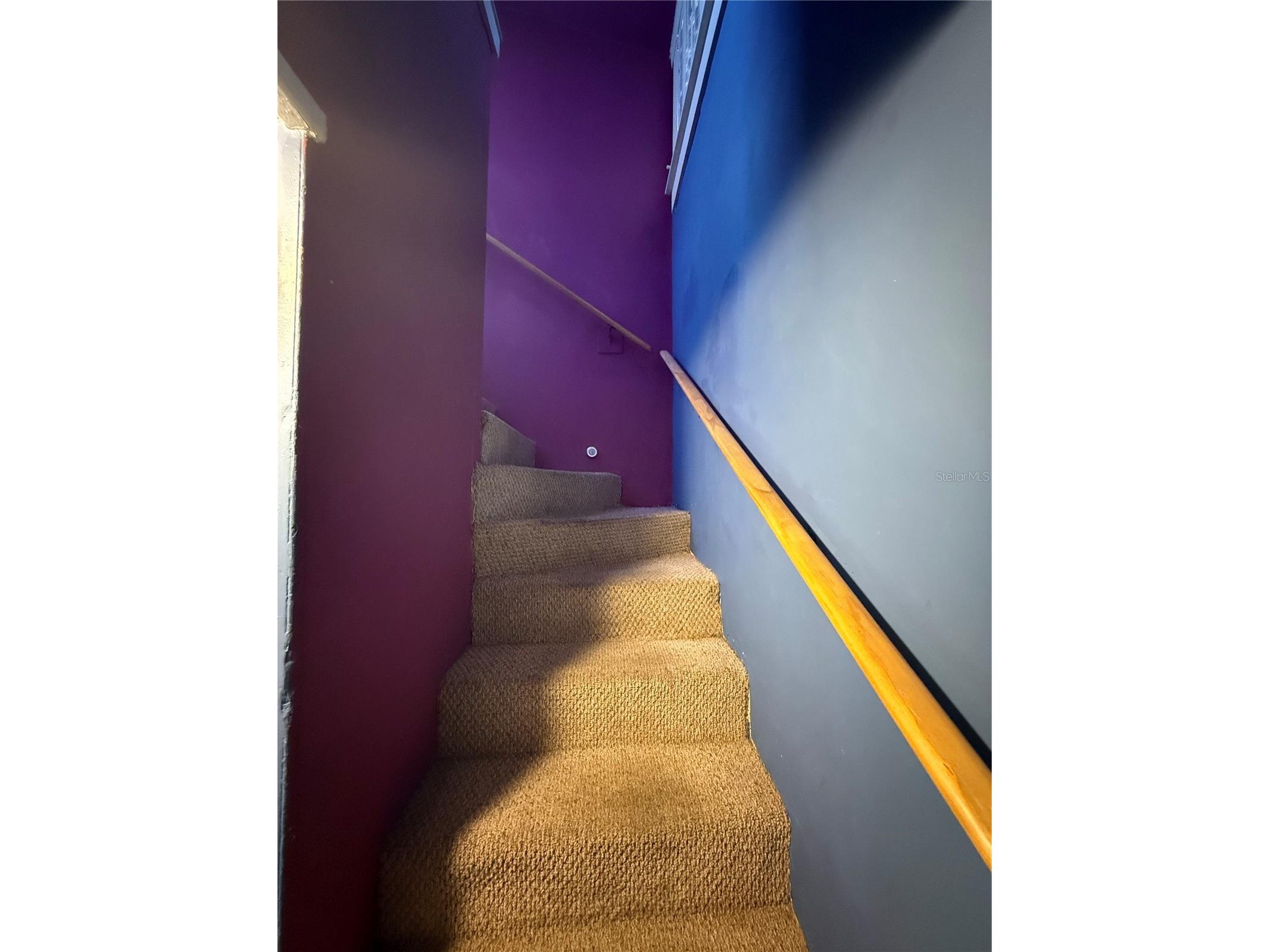 5610 N Nebraska Avenue Tampa FL 33604 TB8474724 image34