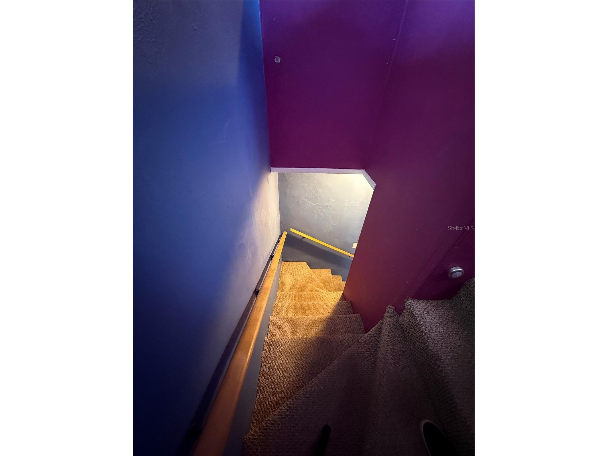 5610 N Nebraska Avenue Tampa FL 33604 TB8474724 image35