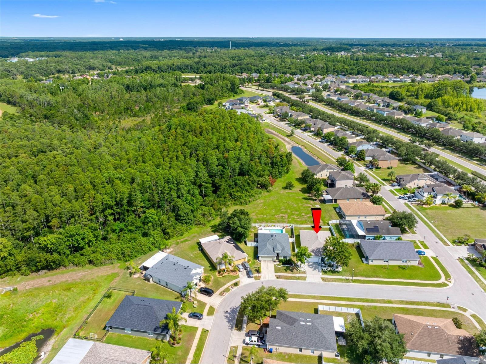 5610 Sheer Bliss Loop Land O Lakes FL 34639 TB8517535 image25