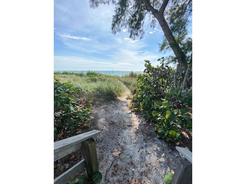 5611 Gulf Of Mexico Drive #5 Longboat Key FL 34228 A4668139 image30
