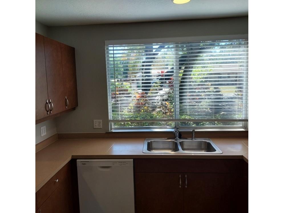 5611 S Sherwood Avenue #1 Tampa FL 33611 TB8446224 image4