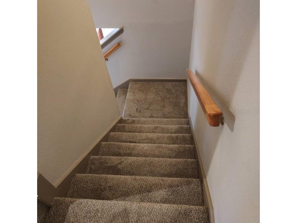 5611 S Sherwood Avenue #1 Tampa FL 33611 TB8446224 image9